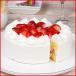 �a�����P�[�L �o�[�X�f�[�P�[�L ��z �v���[���g �M�t�g �X�C�[�c ���َq �q�� �l�C � �C�`�S �������� ���������f�R���[�V�����P�[�L 5�� �֘A�摜2