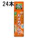 (24шт.@ кейс специальная цена ) Sumitomo . учебное заведение . kai ga Ram si воздушный zo-ru480ml. насекомое .. инсектицид ( юридическое лицо частное лицо выбор )