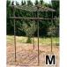  Sekisui fruit pergola M type 1.8m×1.2m×2mH Sekisui resin 