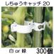 (300 штук ×1 пакет ).... catch 20 ( белый or зеленый выбор цвета ) S20W-300 S20G-300 (300 шт ) фигурная скобка диаметр 20mm для .. материал si-mzm