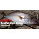 yamaga blank ssi- walk light jigging 64ML вращающийся модель 