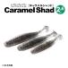  one .issei caramel Shad 2.6 -inch 