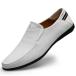 LUODENGLANG Loafer Premium Genuine Leather Men's Casual Shoes Slip On Mens
