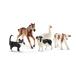 schleich 42386 FARM WORLD Tier-Mix, ab 3 Jahren, FARM WORLD - Spielfigur, 1