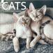 TURNER PHOTOGRAPHIC Cats 12x12 �ե����ɳݤ���������(25998940012)