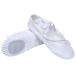 Danzcue Adult Canvas Split Sole Ballet Slippers Ballet Shoes for Women Danc
