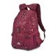 High Sierra school рюкзак BTS Loop Backpack медь s блюдо One Size