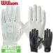  Wilson batting для перчатки ti Мали ni batting перчатка wtabg12