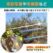 ���悯�e�[�v 50m ���悯�΍� �J���X�悯 �X�Y���悯 �J���X���� ���炷�΍� ������ �֘A�摜4