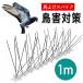 ���悯�O�b�Y ���悯 ���悯 �J���X�悯 �X�e�����X �X�p�C�N �h�� �Q�� �Ƃ� �}�b�g �x�����_ �j �g�Q �O�b�Y �L�悯 1m