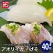  squid geso flap i cassette 200g+240g. sashimi sushi snack sake. . excellent article hand winding sushi seafood porcelain bowl ..geso.... flap squid 