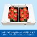 ������ �_���{�[�� �� 250g�~2�p�b�N 500g�p � �P�[�X �i�{�[�� ���� �o�� �� 100�� �Ɩ��p �i�{�[���� �d�؂� �t�^ �C�`�S �ʔ� ���� �T�C�Y ��� �ʕ� �t���} �֘A�摜1