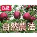  apple .. apple ( home use ) bamboo . have machine agriculture .. nature agriculture law apple . sphere ( approximately 4.5kg)*B class goods * your order gourmet 