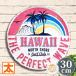  жестяная пластина табличка retro Гаваи pw american смешанные товары Hawaiian смешанные товары интерьер искусство panel море . земля производство картина модный сад постер 