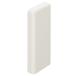 BAUHAUS( bow house ) soft aqua направляющие BP наконечник BP-01W белый 040-7351