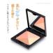 フェイスグロウクリエイター 02 チーク ハイライト アイシャドウ マルチパウダー ツヤ 光沢 TAKAKO OHASHI