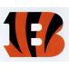 sinsinati* Ben garuz(NFL) команда Logo * стикер [st-NFL011]
