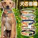 �� ��� �v ���p��� ���A�ɗD���� �\�t�g�p�b�h ���b�V�� ��v �V���v�� ������� ���킢�� �L���b�g �y�b�g�O�b�Y ���^�� ���^�� ���̎��