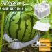  арбуз. коврик фрукты. внизу кровать пластиковый культивирование подставка арбуз тыква дыня . использование возможность садоводство рама земельный участок ...