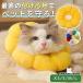  ветеринарный воротник кошка собака soft . после одежда красочный собака для цвет для домашних животных soft ветеринарный воротник ... модный 