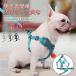 �� �n�[�l�X  ���p ���� ���[�v �x�X�g�^  ���^�� ���^�� ��^���E�����ȒP �����Ȃ���v�� ������� ���킢�� �E���Ȃ� �Č� ���b�N ���� ���