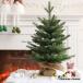  елка настольный 50cm 60cm обнаженный tree. дерево интерьер зеленый Северная Европа модный простой маленький compact античный снег Mini Рождество . покупка 
