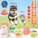 �yLINE�o�^��300�~OFF�N�[�|���z�n�s�y�b�g ���Y�� �s���[�� �Ă��Ă����� �� �L �� �֐� �ؓ� �h�{ ����ς��� �A�~�m�_ �O���R�T�~�� �J���V�E��[M�� 1/3] �֘A�摜1