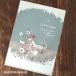 Shinzi Katoh прозрачный файл A4 Cheri[ letter pack почтовый сервис плюс возможно 20 шт до * letter pack почтовый сервис свет возможно 10 шт до * почтовая доставка возможно 5 шт до ]B