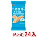 brubon48 листов натуральный дрожжи. cracker (6×4)24 входить (Y10)( кейс распродажа ) Honshu часть бесплатная доставка 