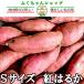 .. Кагосима префектура производство батат .. ..S размер 2kg