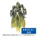  Transformer AOTP-23k inter s prime 