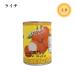  Ciao Cola ichi(. ветка ) жестяная банка 565g Thai производство фрукты консервы ( срок годности :2025.05.22)