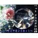  домашнее животное мемориальная табличка crystal бриллиант оригинал сообщение скульптура под рукой .. собака кошка домашнее животное memorial / мемориальная табличка / PA