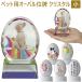  название inserting для домашних животных овальный мемориальная табличка crystal маленький стекло домашнее животное memorial под рукой .. домашнее животное мемориальная табличка memorial собака кошка love собака love кошка симпатичный / мемориальная табличка / PA 2023