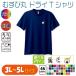 �ނ��ъہ@�h���CT�V���c�@3L�`5L�@UV�J�b�g �z������