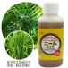  Nimes oil lemon grass Blend 100ml natural plant protection fluid insect repellent less pesticide soil improvement . insect measures insecticide insect repellent gardening Nimes oil stock solution 