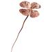 .. распродажа shesay цветок жизнь стойка  заднее крыло clover 304977 медь COPPERkopa- срезанные цветы аранжировка цветов нестандартный отправка 