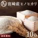 ひのひかり 新米 令和元年度産 宮崎県産 お米 こめ コメ 精白米 白米 10kg ヒノヒカリ 九州 送料無料
