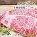 宮崎牛 サーロインステーキ 200g×2枚 ステーキ 日本一 宮崎県産 国産 牛肉 サーロイン 焼肉 ギフト 贈り物 母の日 父の日 送料無料