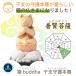 �L�̕��� �Lbuddha �j�����u�b�_�V���[�Y ���x���{�� �C���N�̕�����F ���ʐ�� �J�^�A�C�e�� �J�^�O�b�Y ������F ���^ ���^ �L�̕��l �C �� �q�m�L �֘A�摜2