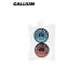 Strong PASTE set [SW2189]/1set  �X�g�����O�y�[�X�g �Z�b�g�@GALLIUM �K���E���@�`���[���i�b�v�O�b�Y �X�m�[�{�[�h