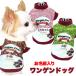 �_������SALE�J�Ò��^�� �� �H�� �~���p ���O���� �����Q���h�b�O �A�C�X�N���[�� �o�j�� ���� �X�g���x���[ �p���f�B �R�X�v���s����11�����{�t