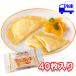  Nitto лучший f линзы блинчики ( мандарин ) 35g×40 шт рефрижератор 