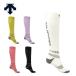 DESCENTE Descente лыжи носки носки мужской женский <2026>DW5FSO02U / Arch Spiral Sox