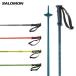 SALOMON Salomon лыжи paul (pole) stock 2024 ARCTIC 23-24 старый модель 