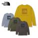 THE NORTH FACE The * North * лицо нижний одежда мужской <2023> L/S FLASHDRY Merino Crew / L/S flash dry melino Crew / NT62174