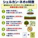 �V�F���J���E�l�I�@(���j�@�A���Q�@�V�R�����~�l��������엿�@�P�C�_�E�J���V�E���E�~�l�����L�x�@���N�ȓy���@�����������i�C�g�@�e���؂� �֘A�摜1
