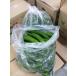  with translation cucumber Saga prefecture production Kyushu each prefecture production non-standard goods 1 case approximately 5kg