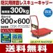 �Ѳٽ�300kg �겡����� �������ϥ�ɥ���꡿SP�֥졼�������� SONAE  DSK-R302B2 ��900mm��600mm/125�ռ���) �ʥ󥷥� ����̵�� ������Ŀ�����ã�Բ�