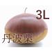  Tanba каштан 3L 1kg Tanba сельское хозяйство .